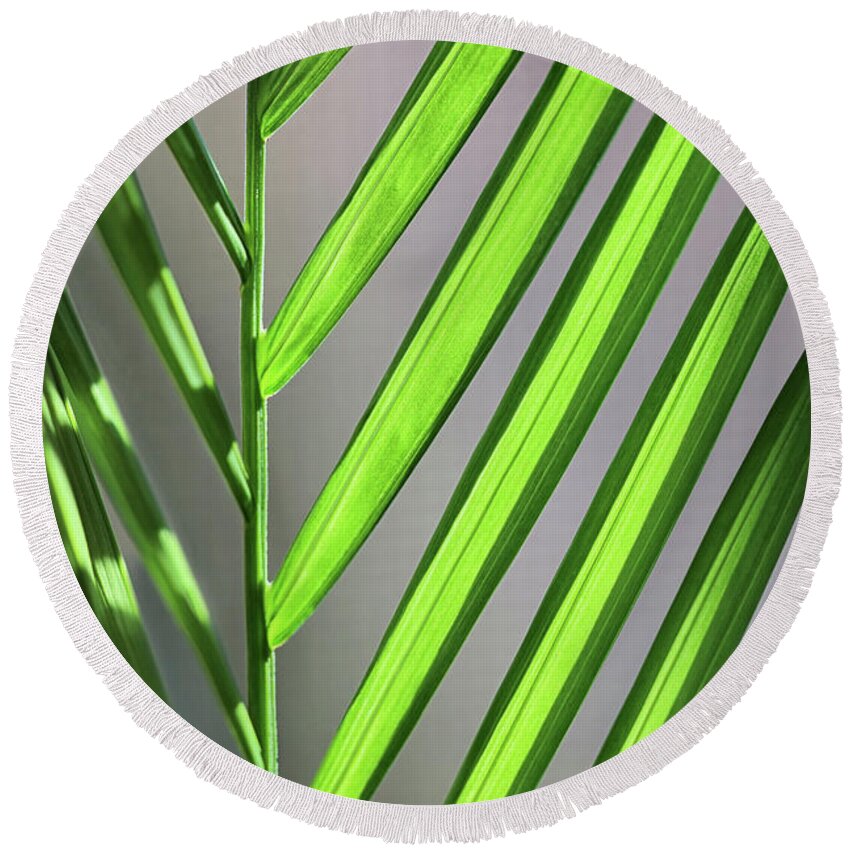 Macro Round Beach Towel featuring the photograph Plant on the Sill by Karen Adams