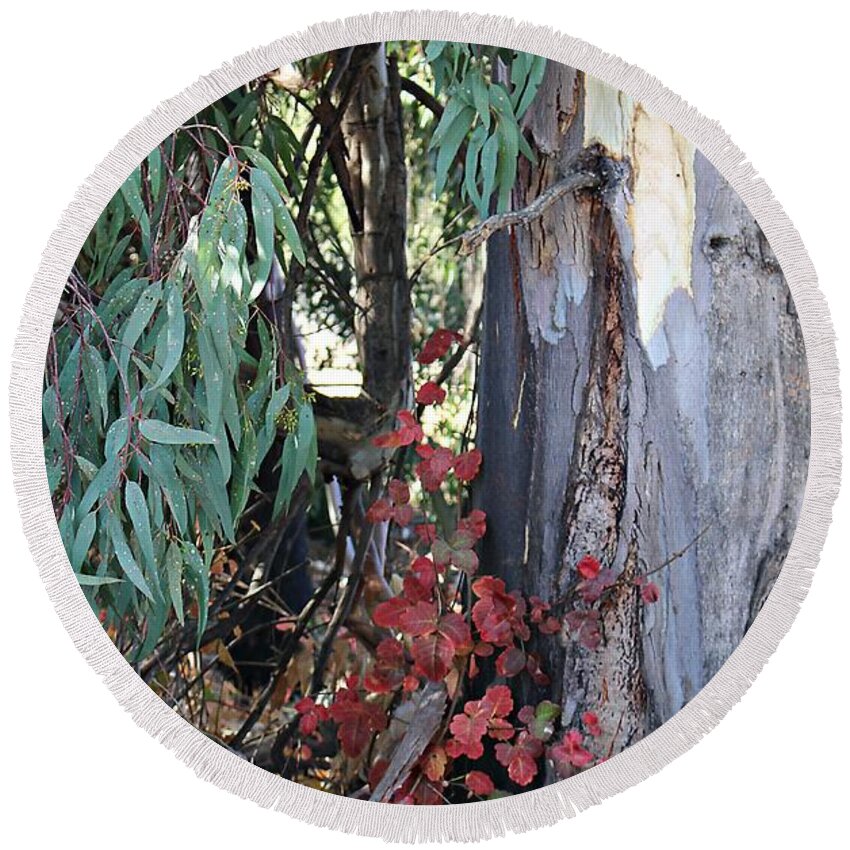 Poison Oak Round Beach Towel featuring the photograph Poison Oak in Fall Coloirs by Martha Sherman