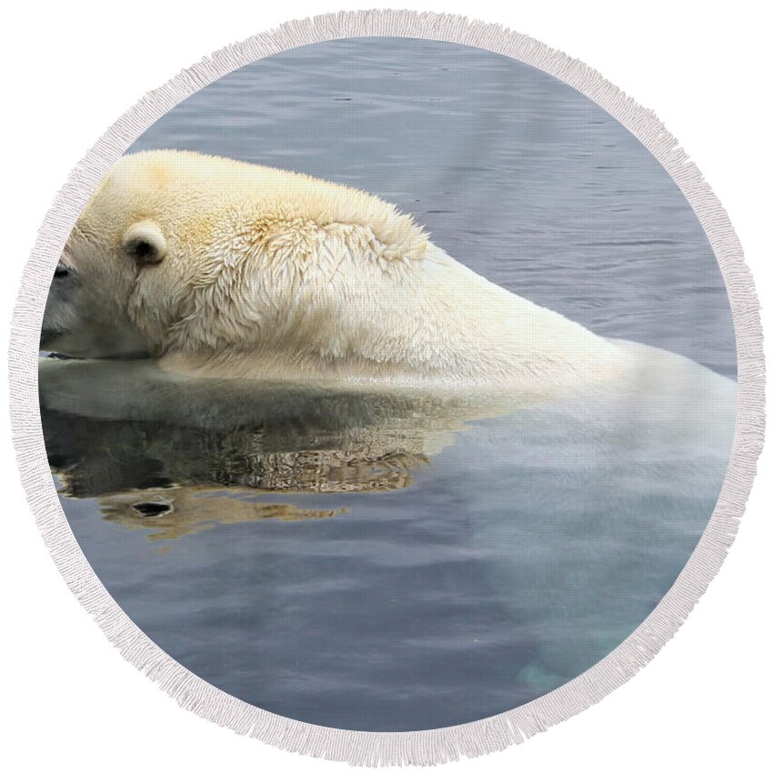 Polar Bear Round Beach Towel featuring the photograph Polar Bear by Susan Hope Finley