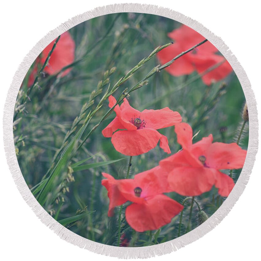 Poppies Round Beach Towel featuring the photograph Poppies in a field by Andrew Lalchan