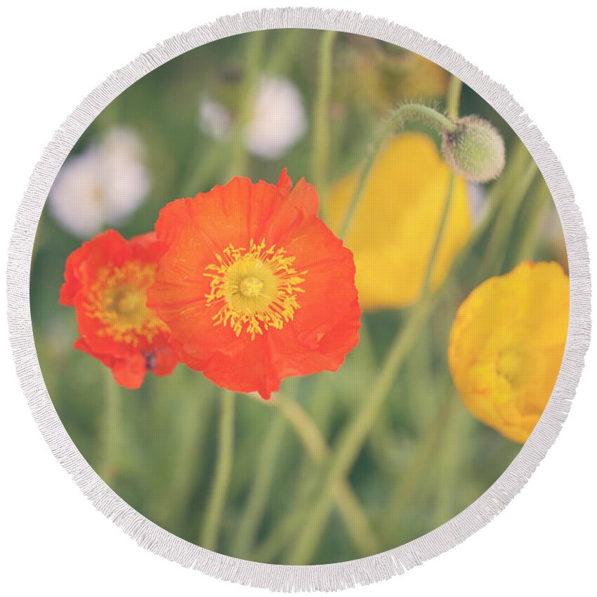 Poppies Round Beach Towel featuring the photograph Poppies by Melanie Alexandra Price