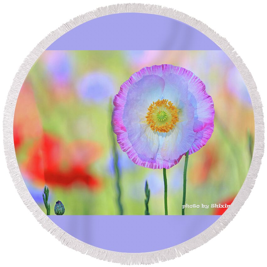 Poppy Flowers Round Beach Towel featuring the photograph Poppy Flowers by Shixing Wen