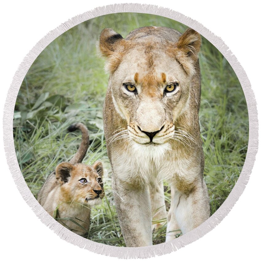 Lioness Round Beach Towel featuring the photograph Powerful by Rebecca Herranen