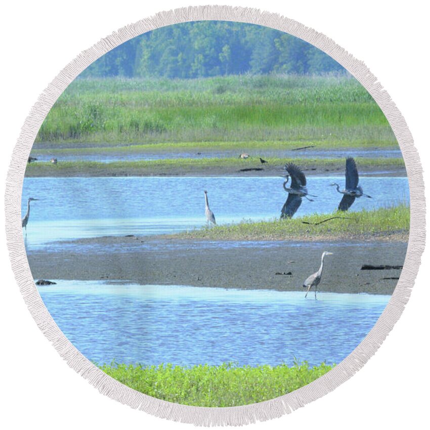 Great Heron Round Beach Towel featuring the photograph Prehistoric #1 by Addison Likins