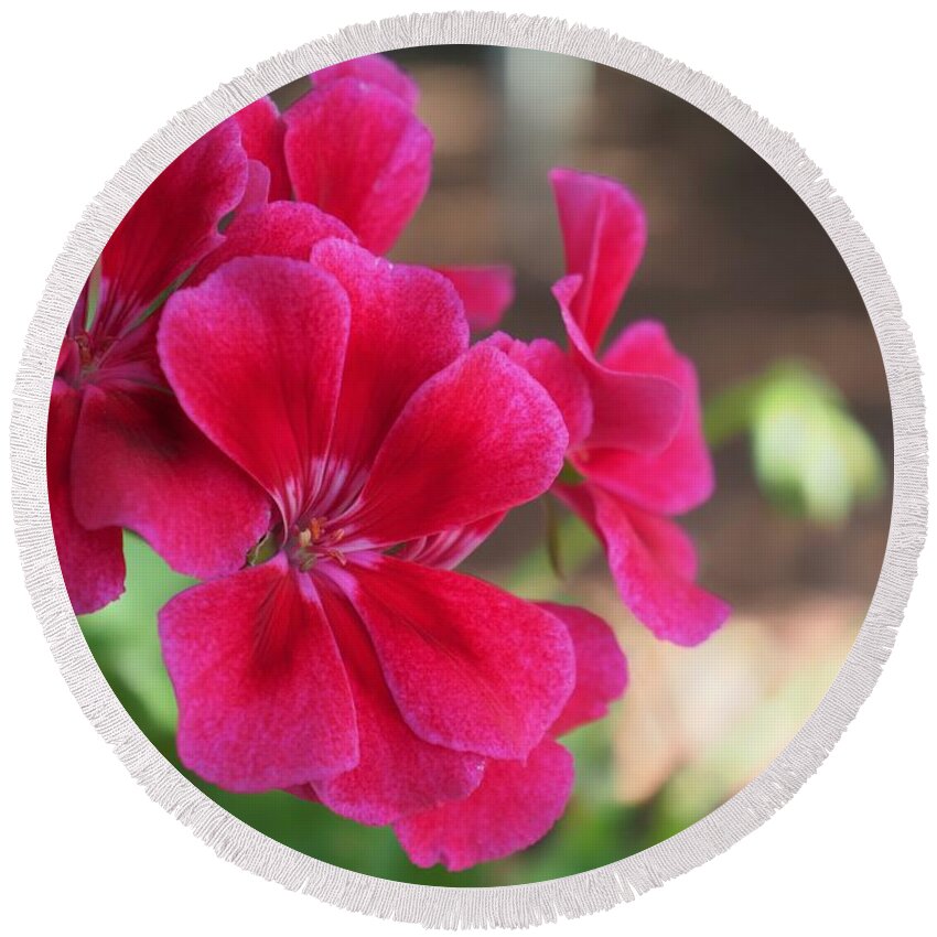 Red Round Beach Towel featuring the photograph Pretty Flower 5 by C Winslow Shafer