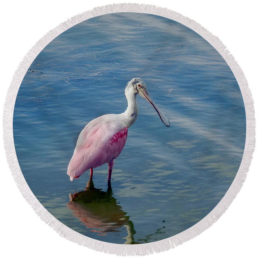 Spoonbill Round Beach Towel featuring the photograph Pretty in Pink by Laura Putman