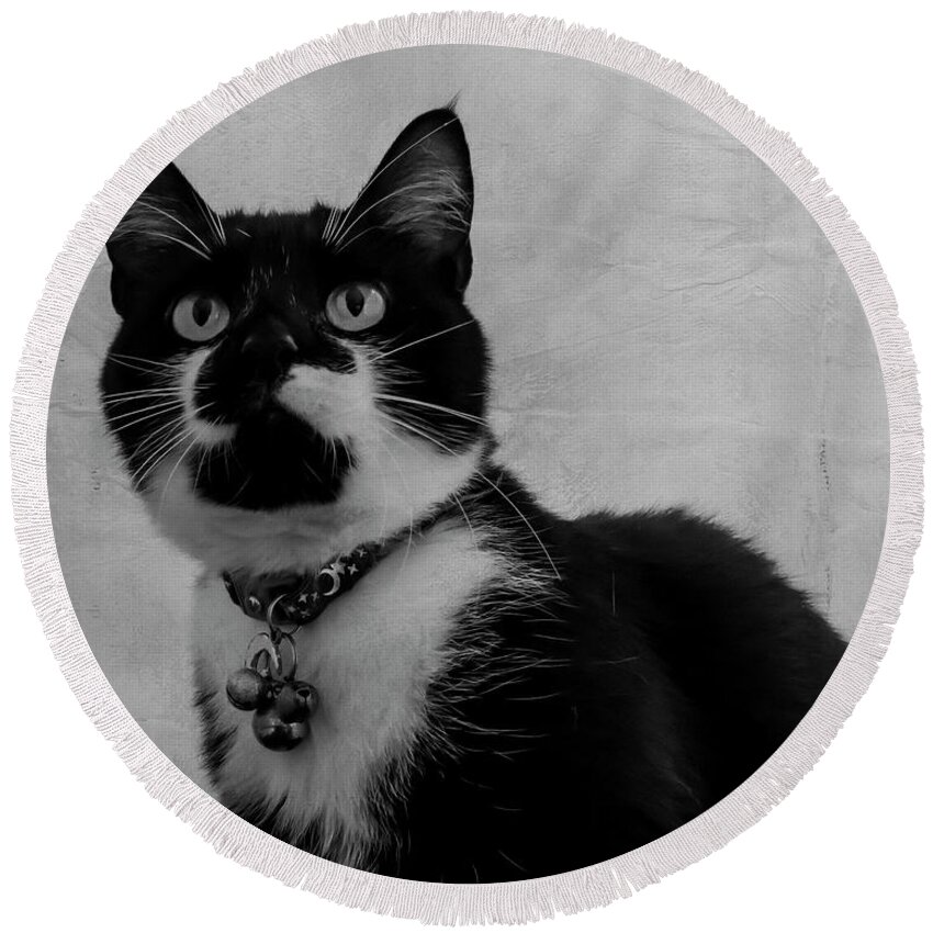 Cat Round Beach Towel featuring the photograph Pretty Kitty by Cathy Kovarik