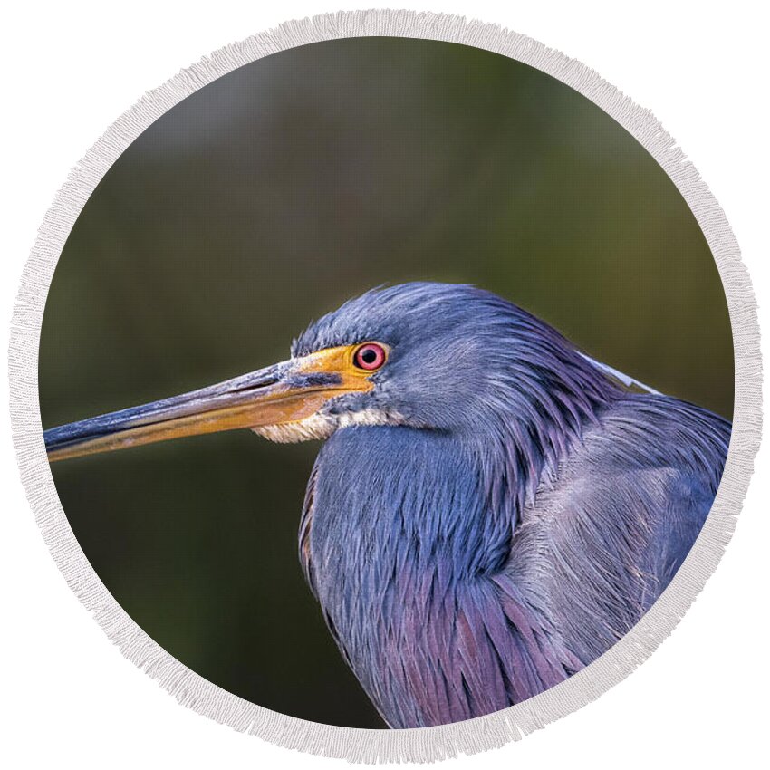 Heron Round Beach Towel featuring the photograph Profile by Les Greenwood