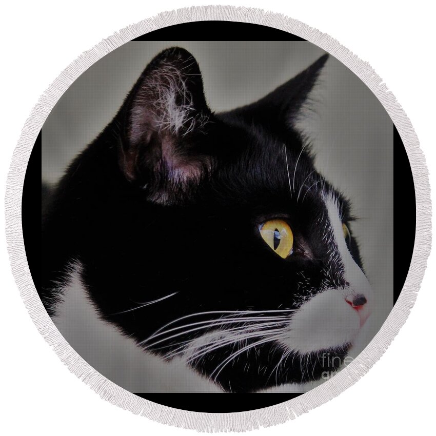 Cats Round Beach Towel featuring the photograph Profile of a black and white cat by Joanne Carey