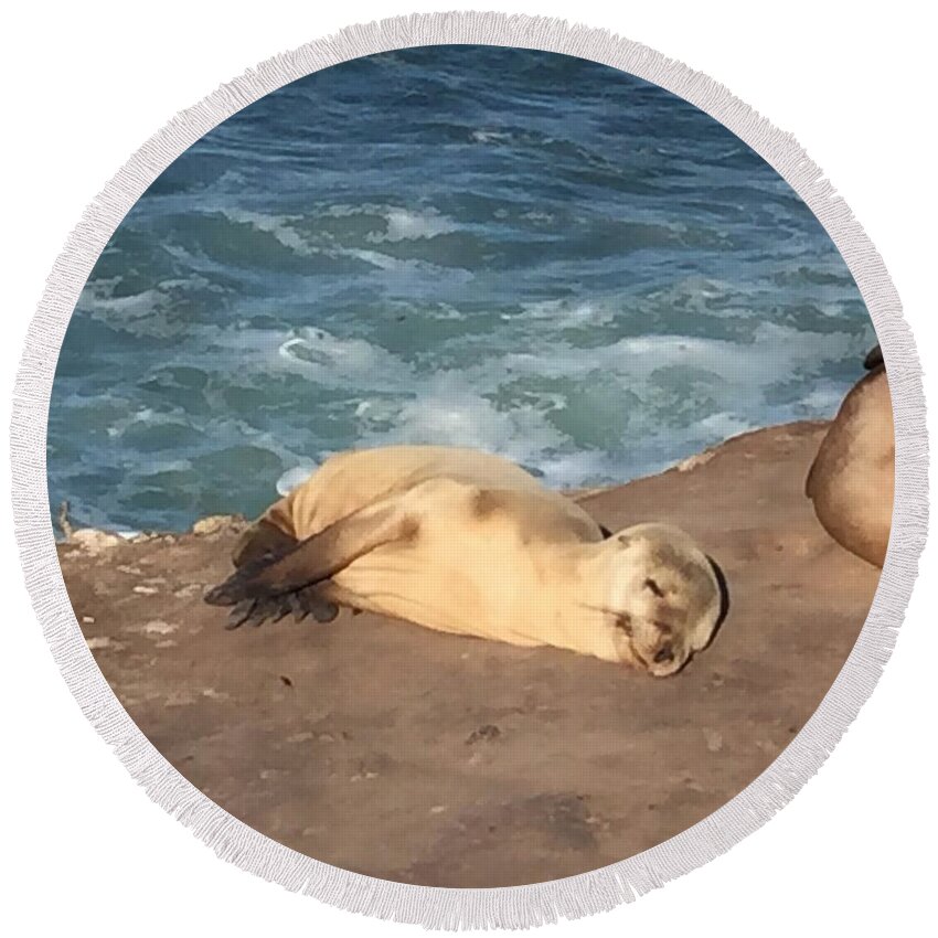 Seal Round Beach Towel featuring the photograph Pure Contentment by Lisa White