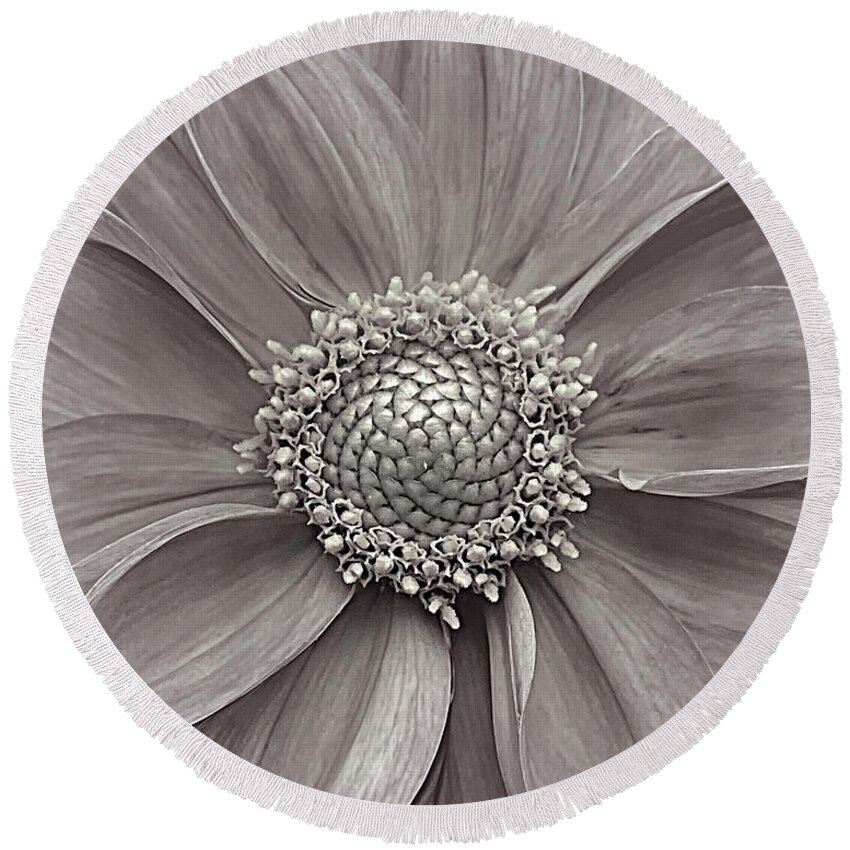 Flower Round Beach Towel featuring the photograph Purity BW by Lee Darnell