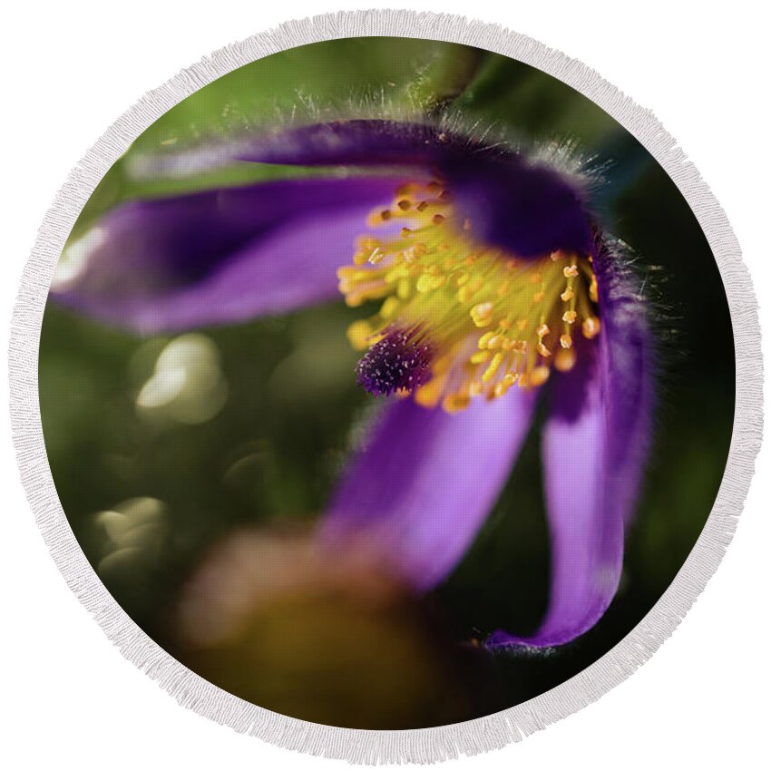  Round Beach Towel featuring the photograph Purple Love by Nicole Engstrom