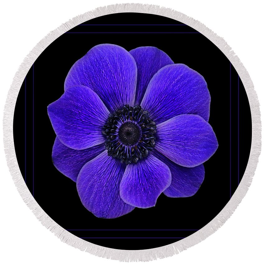 Hellebore Round Beach Towel featuring the photograph Purple Power by Jaki Miller