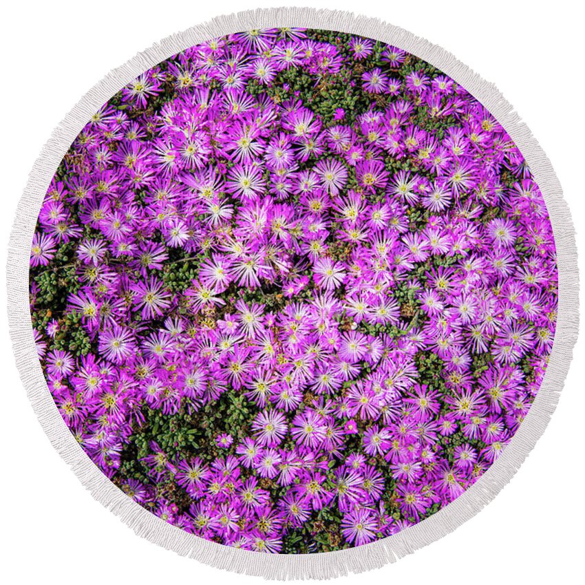 Ca Route 1 Round Beach Towel featuring the photograph Purplish Pinkish Blooms by David Levin