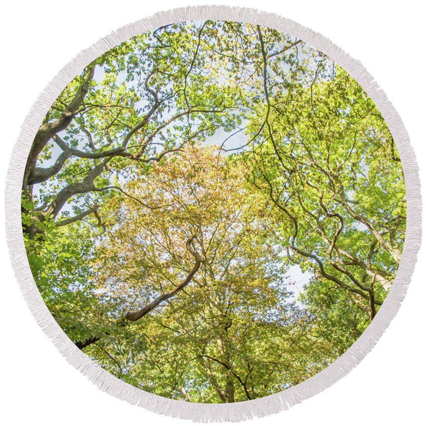 Queen's Wood Round Beach Towel featuring the photograph Queen's Wood Trees Fall 2 by Edmund Peston