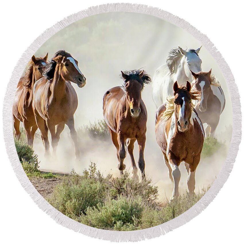 Horses Round Beach Towel featuring the photograph Racing to the Water Hole by Judi Dressler