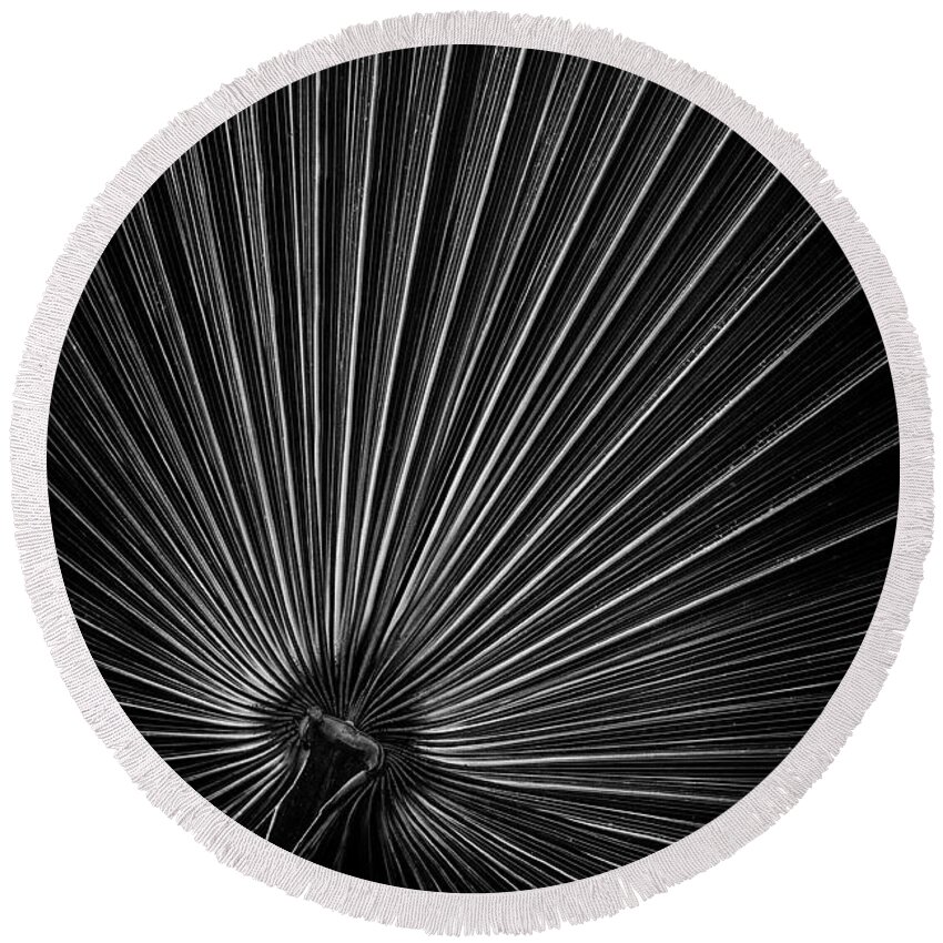 Palm Round Beach Towel featuring the photograph Radiating Lines - Vertical by Elvira Peretsman