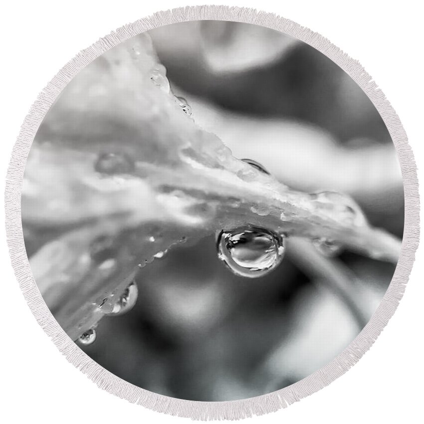 Macro Round Beach Towel featuring the photograph Rain Drop Reflection 2 by Peggy Franz