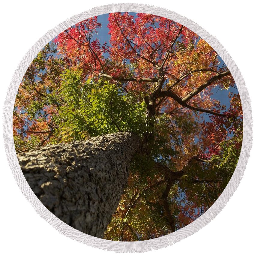 Pepper Tree Round Beach Towel featuring the photograph Rainbow Fall Foliage by Richard Thomas