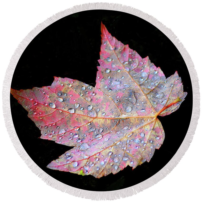 Nature Round Beach Towel featuring the photograph Raindrops. on Maple Leaf by Mariarosa Rockefeller