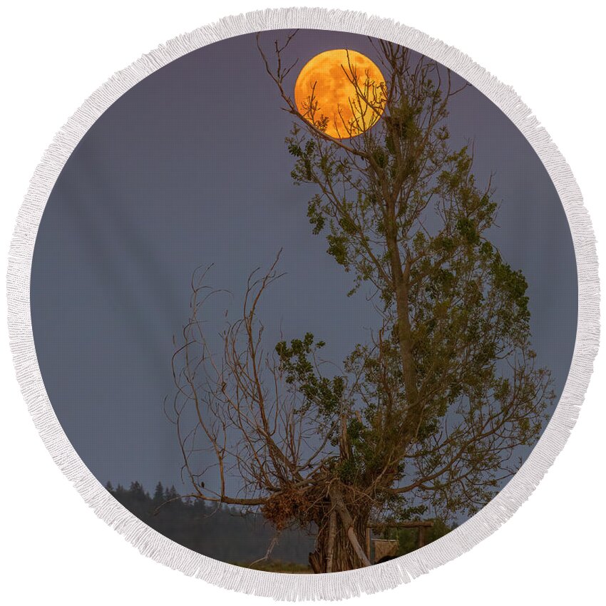 Lassen Round Beach Towel featuring the photograph Ranch Moon by Mike Lee