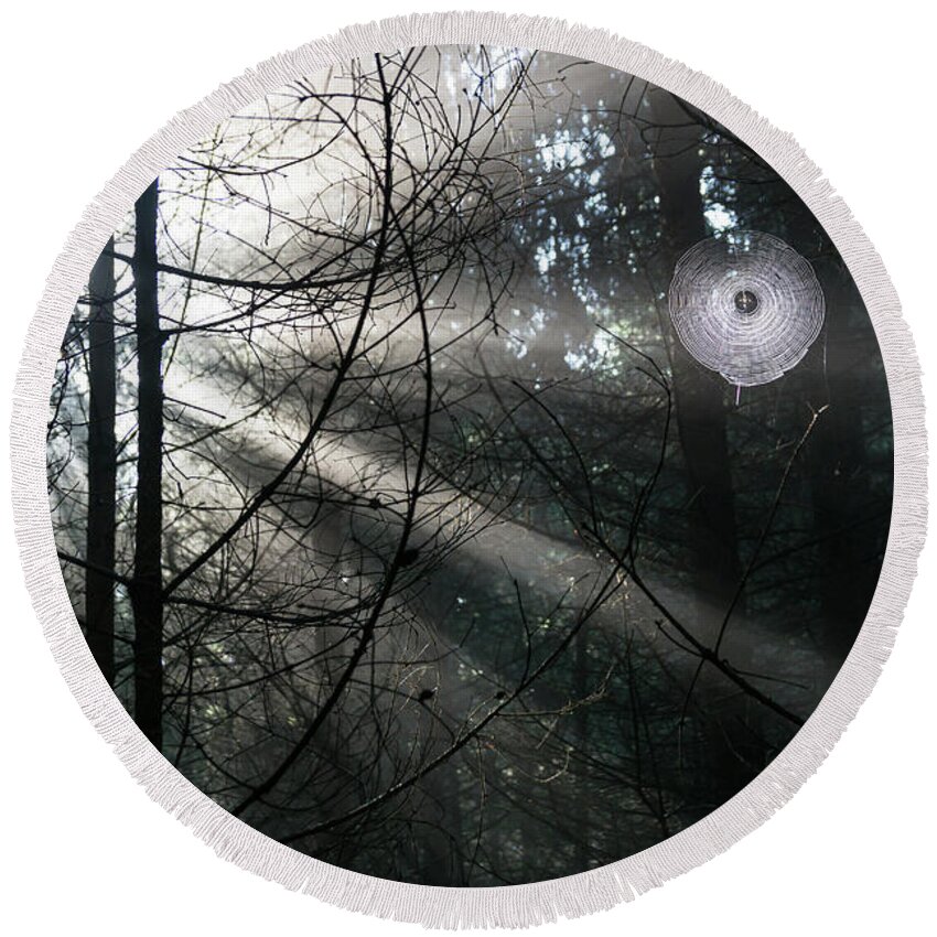 Forest Round Beach Towel featuring the photograph Rays of light in the forest 2 by Adriana Mueller