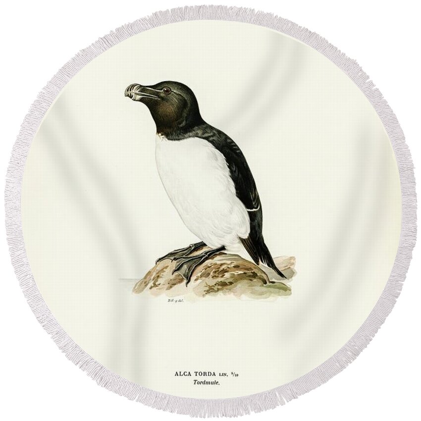 Nature Round Beach Towel featuring the painting Razorbill Alca torda illustrated by the von Wright brothers. by Shop Ability