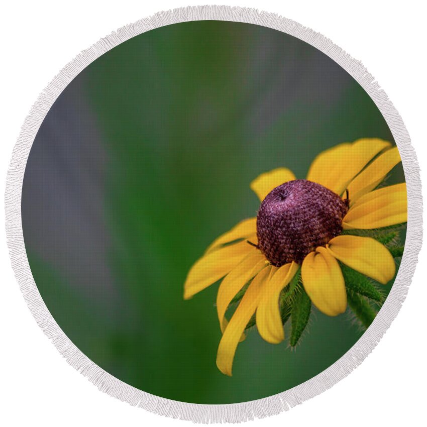 Flower Round Beach Towel featuring the photograph Reaching for the Sun by JCV Freelance Photography LLC