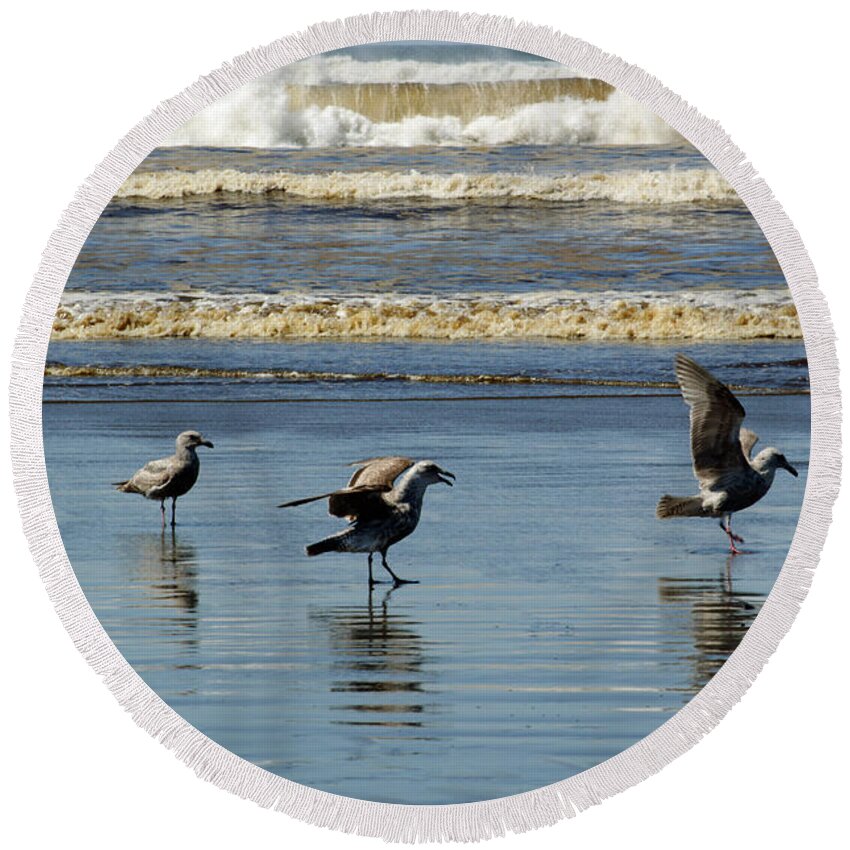 Beach Round Beach Towel featuring the photograph Ready Set Go by Tikvah's Hope