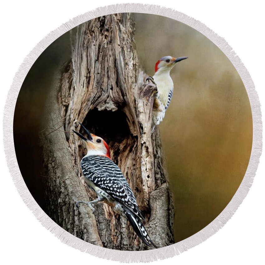 Red Bellied Woodpecker Round Beach Towel featuring the mixed media Red Bellied Woodpeckers by Kathy Kelly