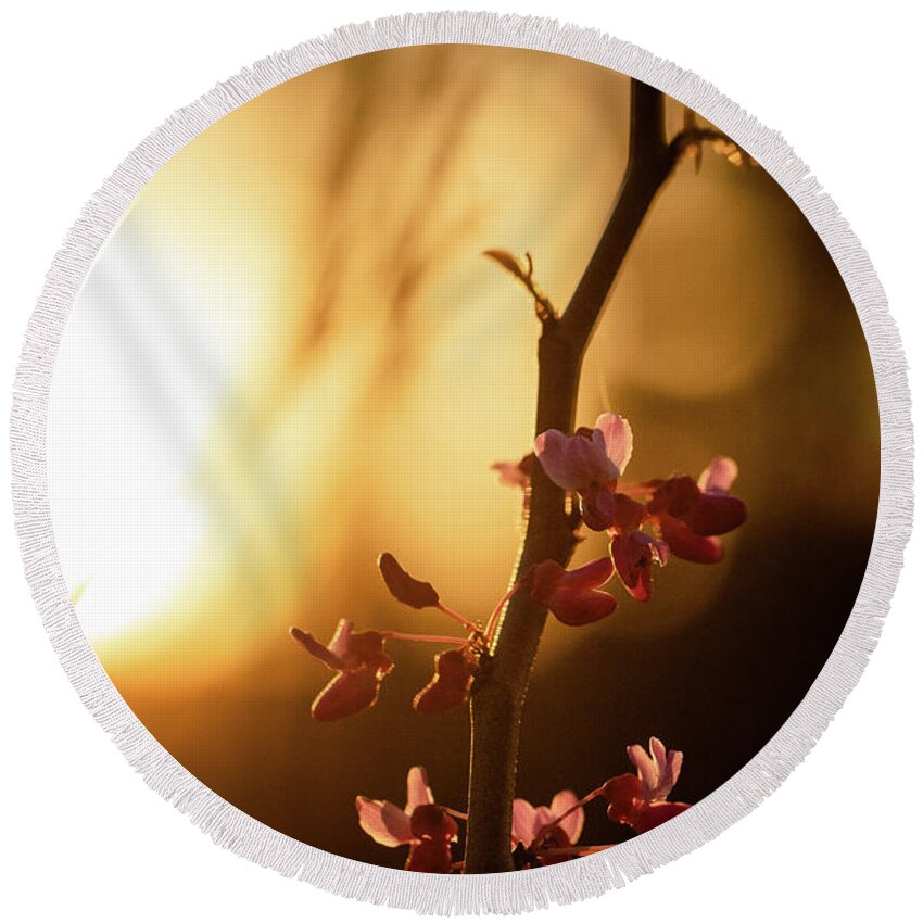 Eastern Red Bud Tree Round Beach Towel featuring the photograph Red Bud Sunset by Joni Eskridge