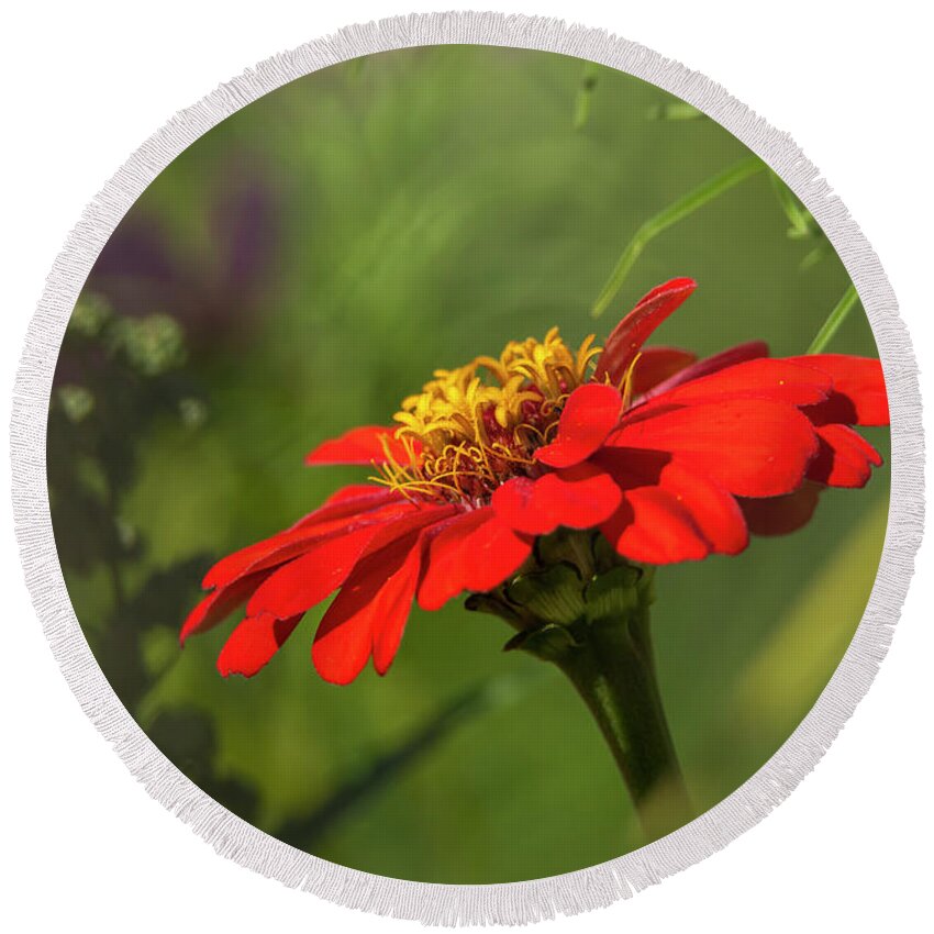 Blurred Edges Round Beach Towel featuring the photograph Red is the Primary Color Floral by Sandra J's