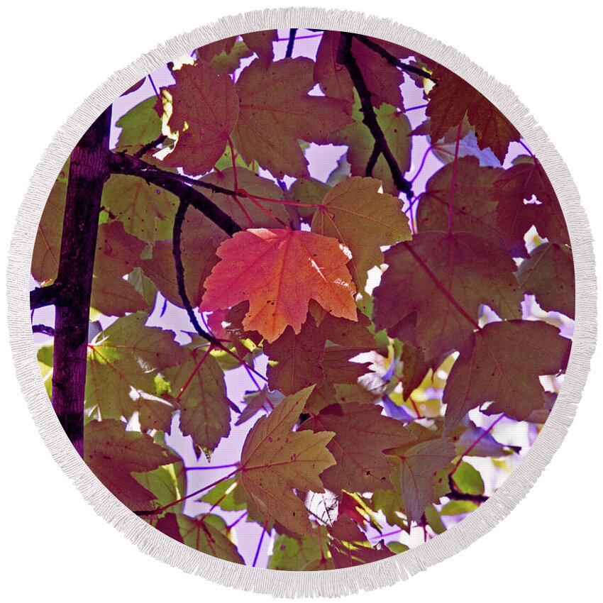 Memphis Round Beach Towel featuring the digital art Red Leaves On Purple by David Desautel