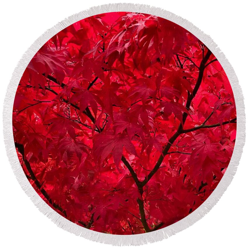 Red Round Beach Towel featuring the photograph Red Maple Macro by Jerry Abbott