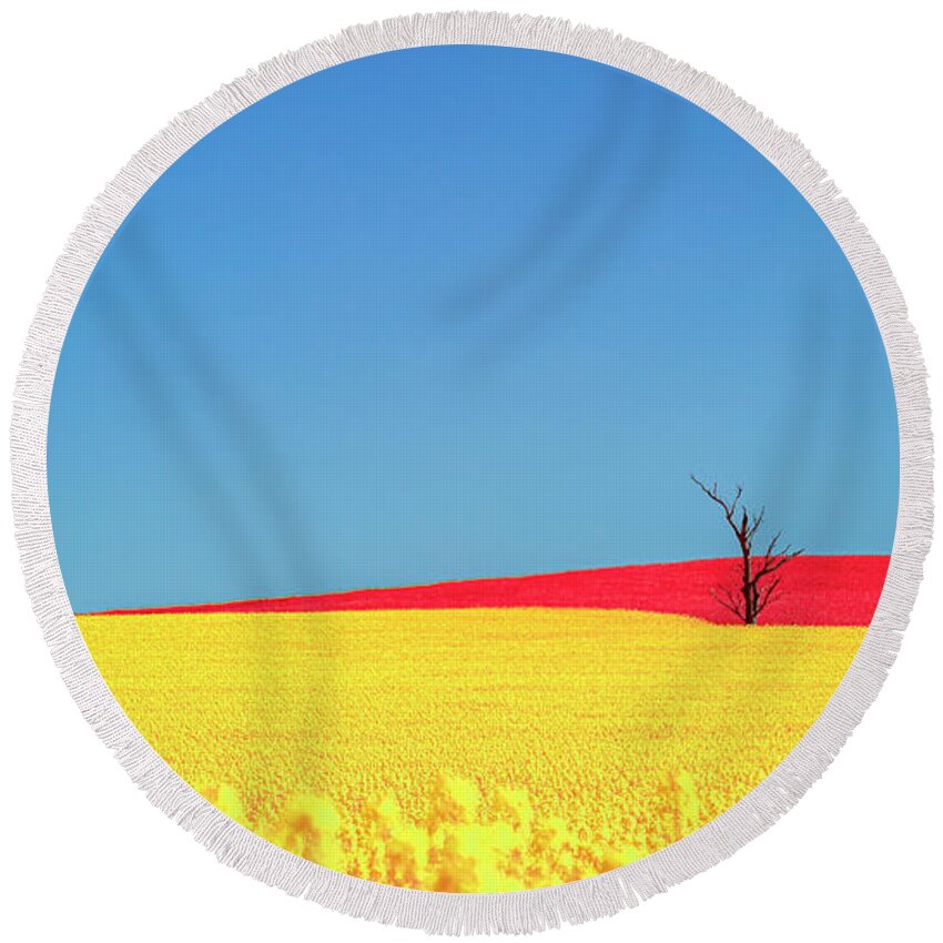 Red Round Beach Towel featuring the photograph Red Nike by Ari Rex