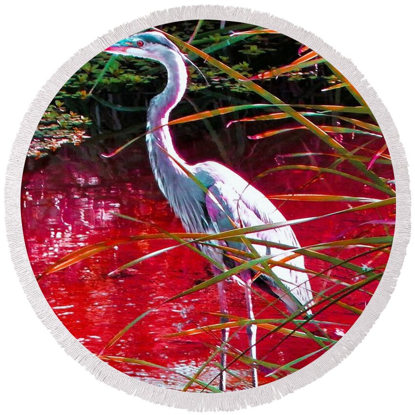 Bird Round Beach Towel featuring the photograph Red River Heron by Andrew Lawrence