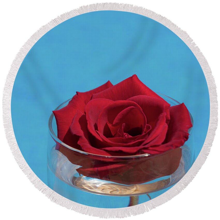 Red Rose Round Beach Towel featuring the photograph Red rose blossom and blue water by Adriana Mueller