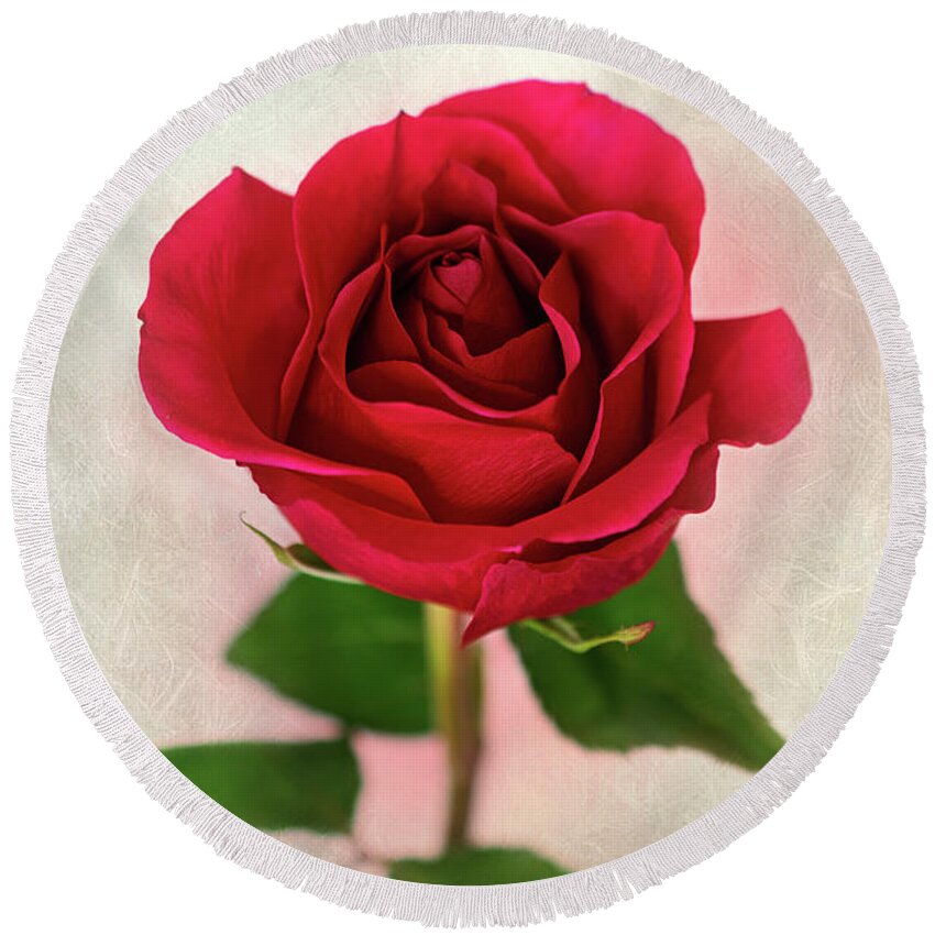 Red Rose Round Beach Towel featuring the photograph Red Rose Single Stem Print by Gwen Gibson