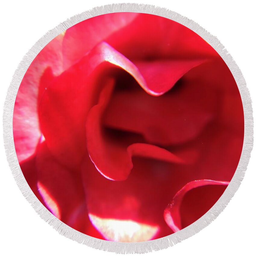 Red Rose Round Beach Towel featuring the photograph Red Rose by Vivian Aumond