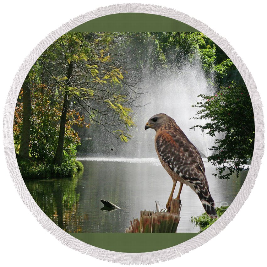 Nature Round Beach Towel featuring the photograph Red-Shouldered Hawk by Mariarosa Rockefeller