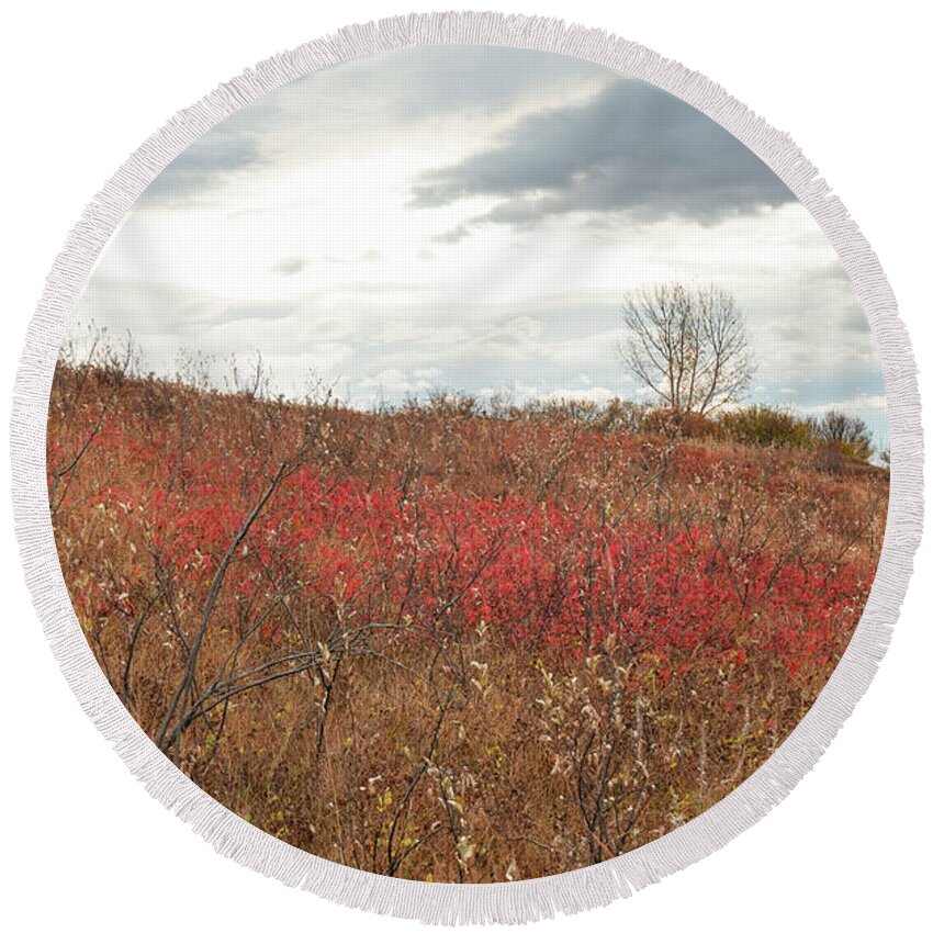 Red Round Beach Towel featuring the photograph Red Wild Rose Patch In A Pasture by Karen Rispin