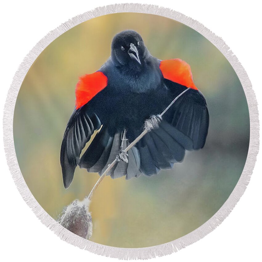 Bird Round Beach Towel featuring the photograph Red Winged by Gary Geddes