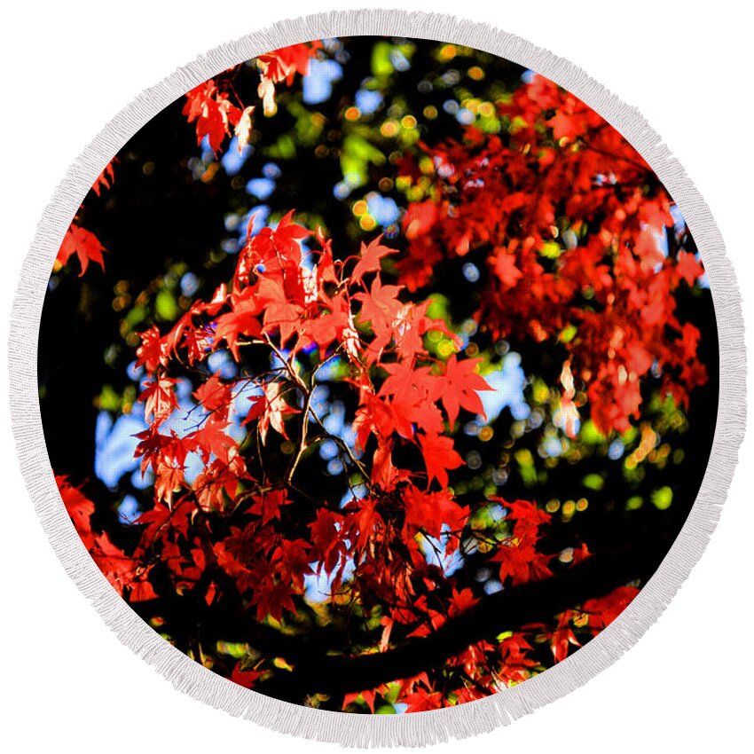 Red Round Beach Towel featuring the photograph Reds of an Autumn Afternoon - An Annapolis Impression by Steve Ember