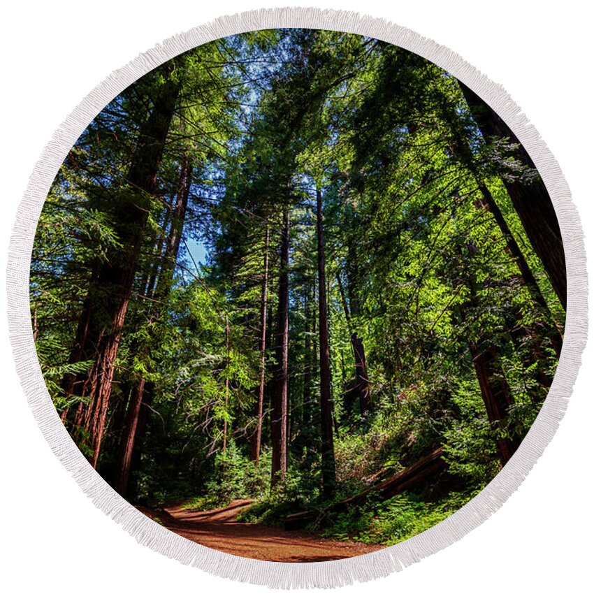 Redwoods Round Beach Towel featuring the photograph Redwood Forest by Rich Cruse