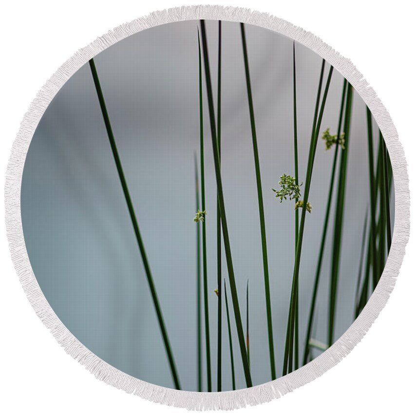 Reed Round Beach Towel featuring the photograph Reeds By A Pond by Karen Rispin