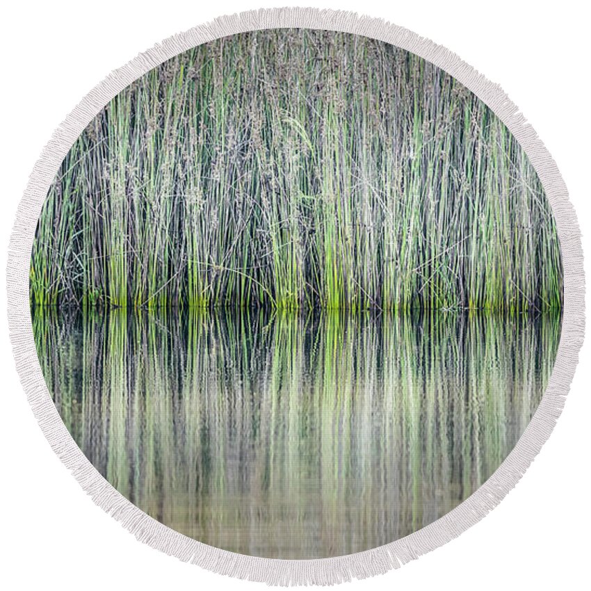 Reeds Round Beach Towel featuring the photograph Reeds Reflection by Gary Geddes