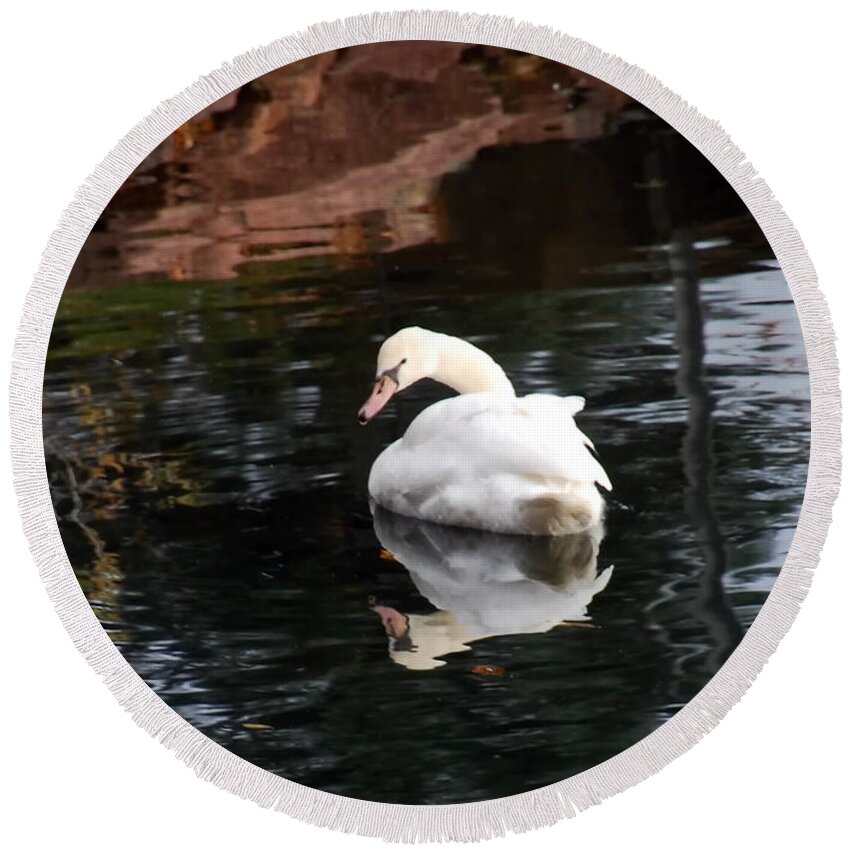 Nature Round Beach Towel featuring the photograph Reflectiing Swan by Vallee Johnson