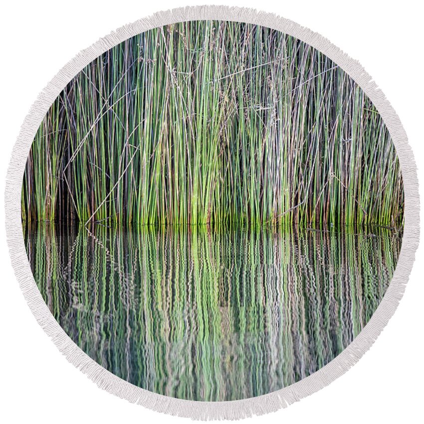 Reeds Round Beach Towel featuring the photograph Reflecting by Gary Geddes