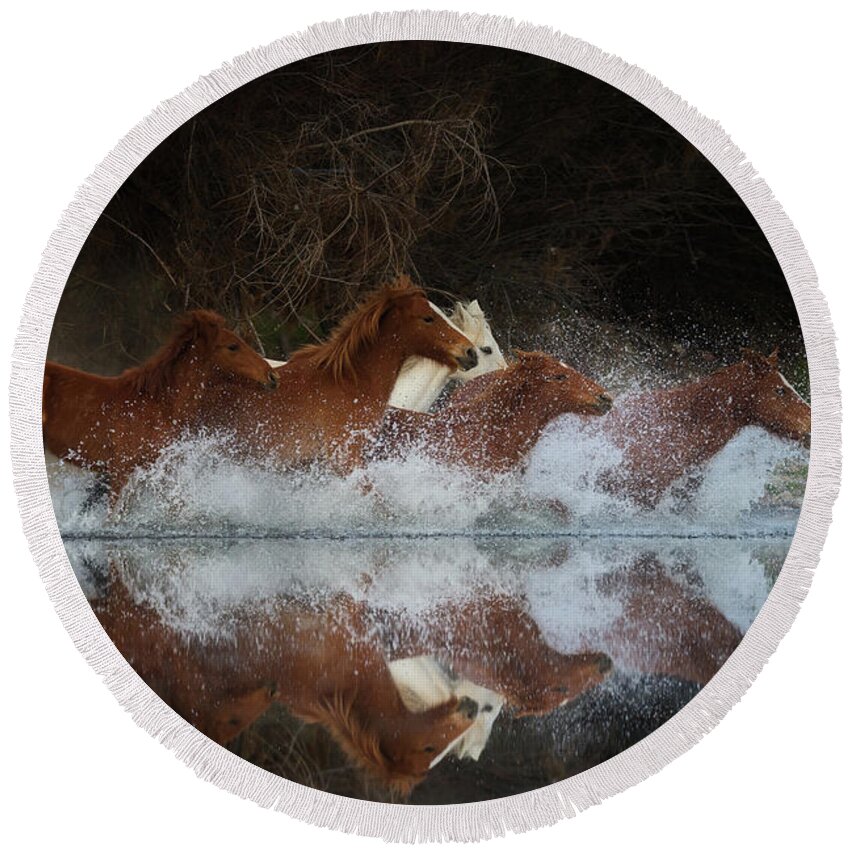 Salt River Wild Horses Round Beach Towel featuring the photograph Reflection by Shannon Hastings