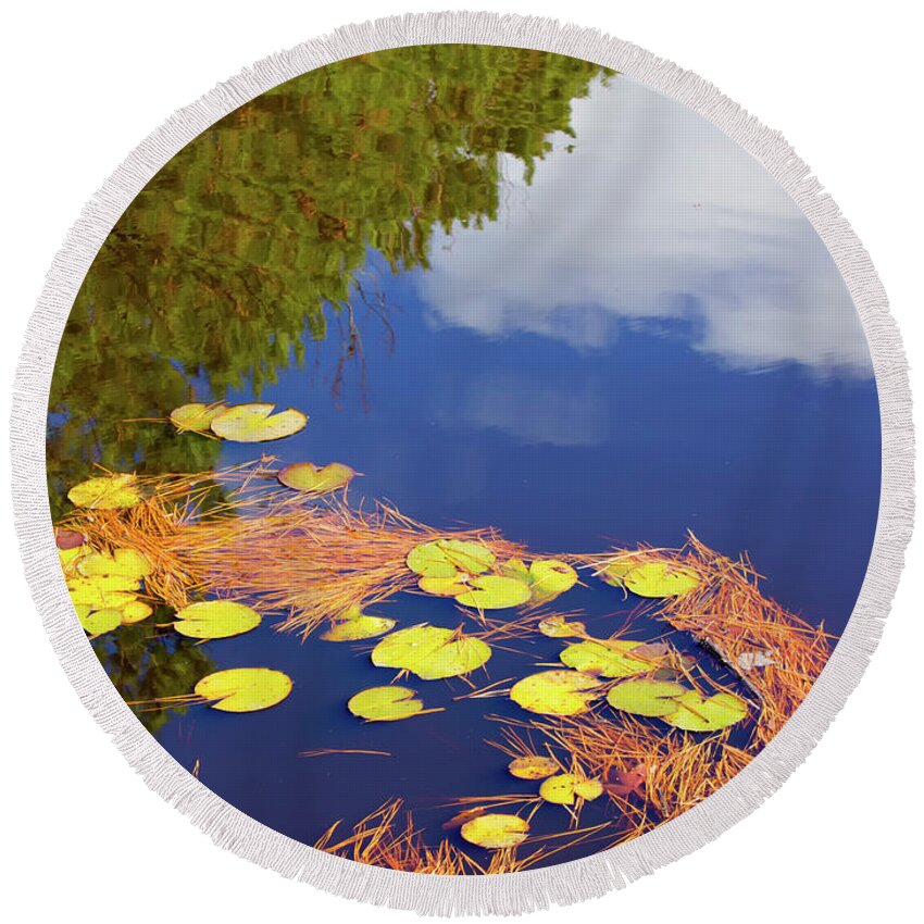 Blue Round Beach Towel featuring the photograph Reflections in a lily pond by Charles Floyd